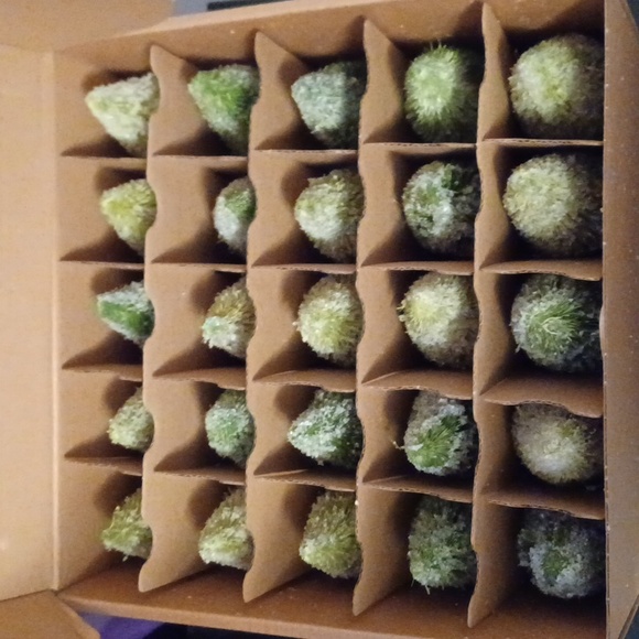 New 25 Piece Bee & Willow Bottle Brush Tree Advent Calendar - Picture 3 of 5